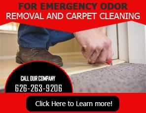 Carpet Cleaning Altadena, CA | 626-263-9206 | Best Service